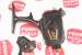 PENN REEL PARTS NEW HOUSING - COMPLETE #001-650