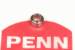 PENN REEL PARTS NEW BEARING - LINE ROLLER - DISCONTINUED #035A706