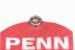 PENN REEL PARTS NEW BEARING - LINE ROLLER #035A8500J