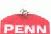 PENN REEL PARTS NEW SPRING, RIGHT SIDE THRUST #041-330