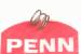 PENN REEL PARTS NEW SPRING - WORM BEARING #057-109
