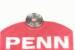 PENN REEL PARTS NEW WASHER, LINE ROLLER #132-5500J